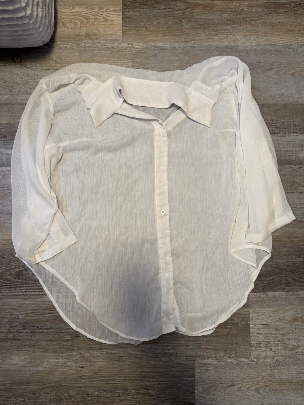 Sheer Button Up Shirt